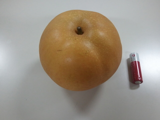 2011-09-29 19.21.23.jpg